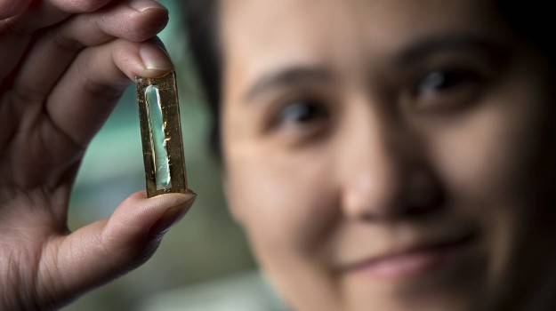 batterie del futuro a nanofili d'oro
